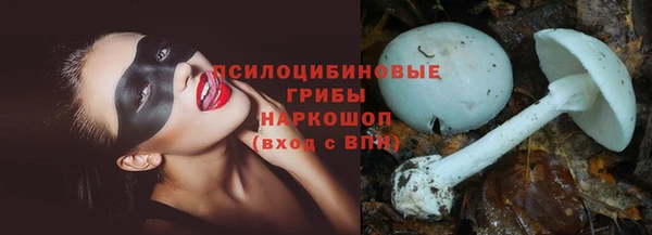 соль курить ск Алзамай