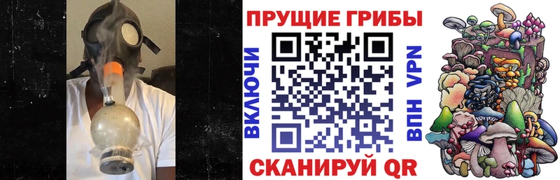 Псилоцибиновые грибы GOLDEN TEACHER  Пущино 